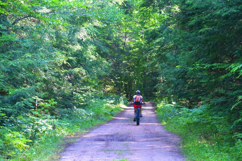 Grand Island Trails